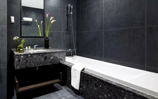 Anteposuerit litterarum formas.