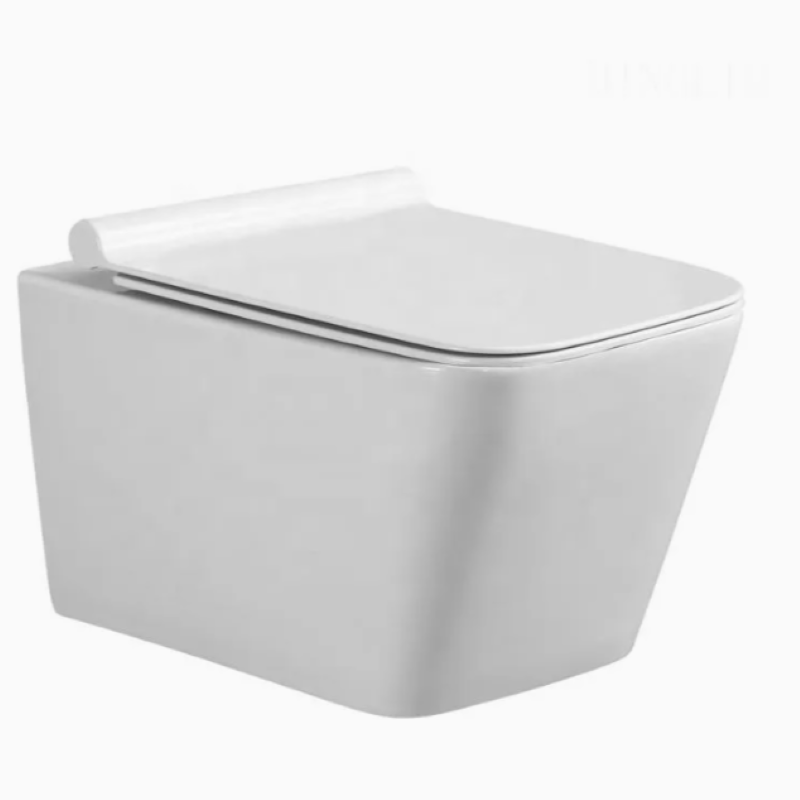 Унитаз подвесной 2370-5 безободковый с сиденьем Slim Soft-close